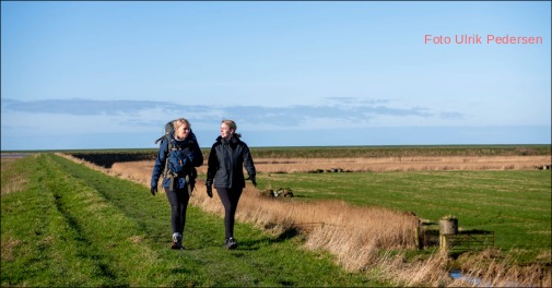 Vandreferie i Tøndermarsken med hygge og naturoplevelser