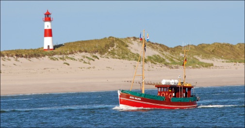 Oplev sælsafari i Vadehavet med ophold og middag